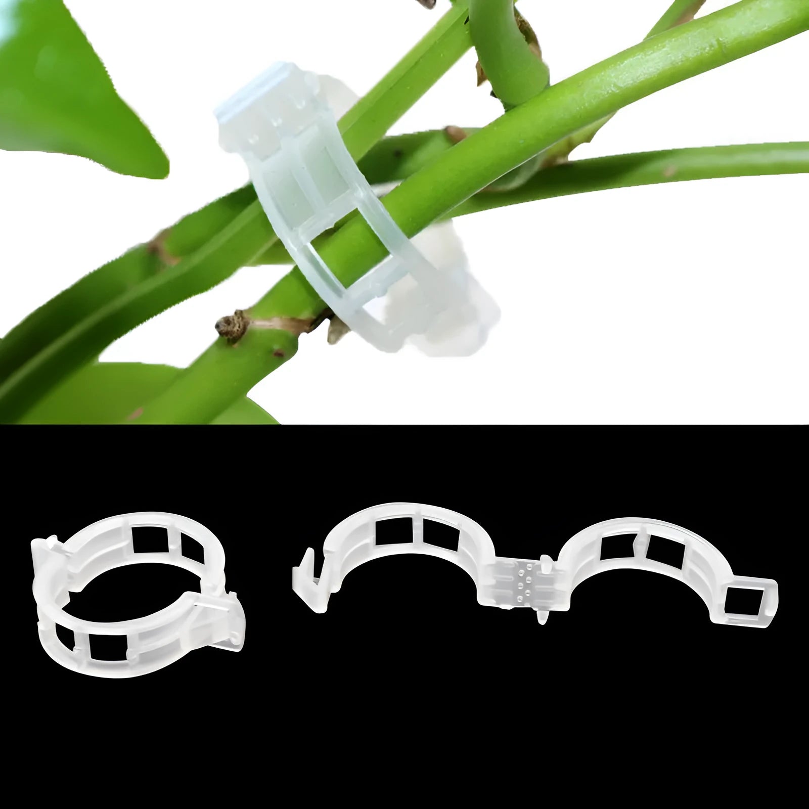 A pack of 50 plastic plant grafting clips for tomato and garden twig support.