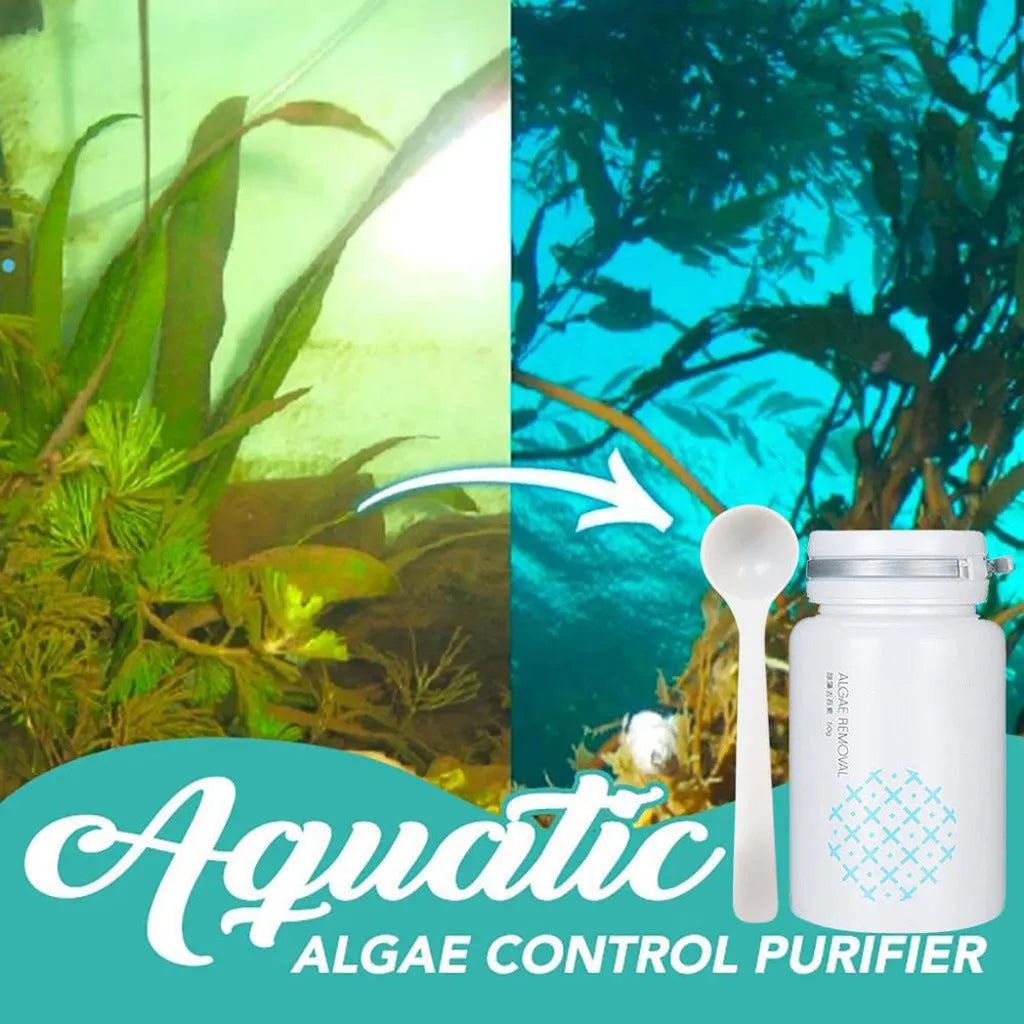 50g swimming pool algaecide container for algae removal and water purification