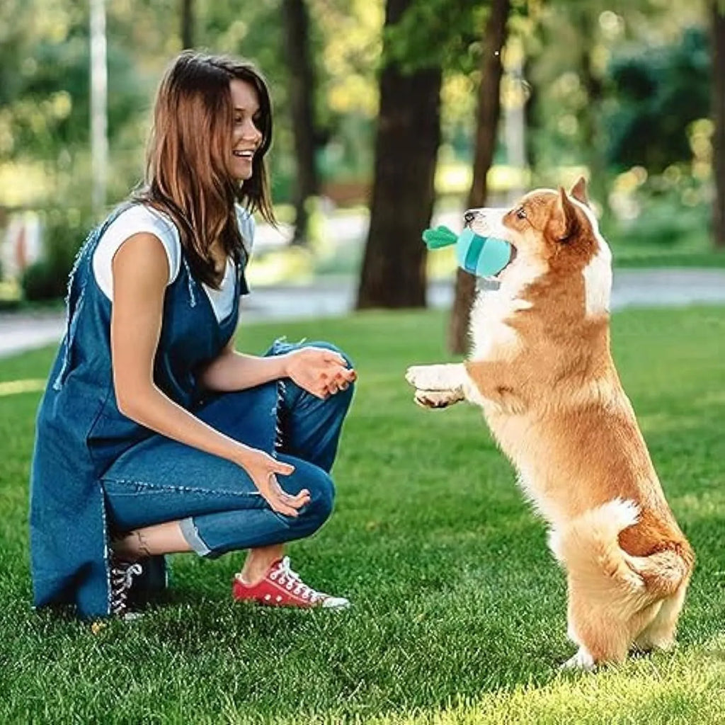 Blue durable rubber dog treat dispensing ball toy with small holes for medium large dogs
