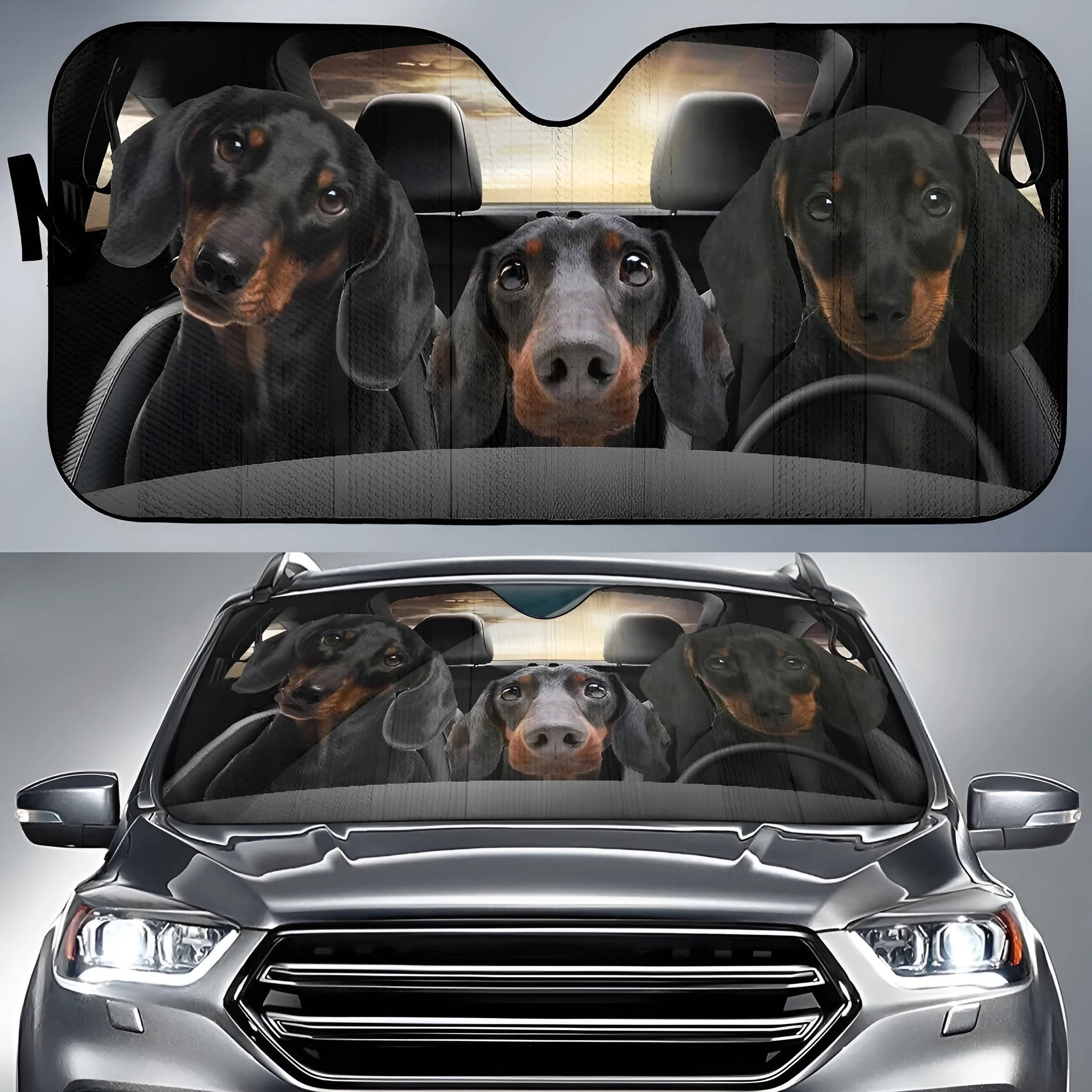 Car snow protection front gear cover in size Dog 130 70 with lanyard straps