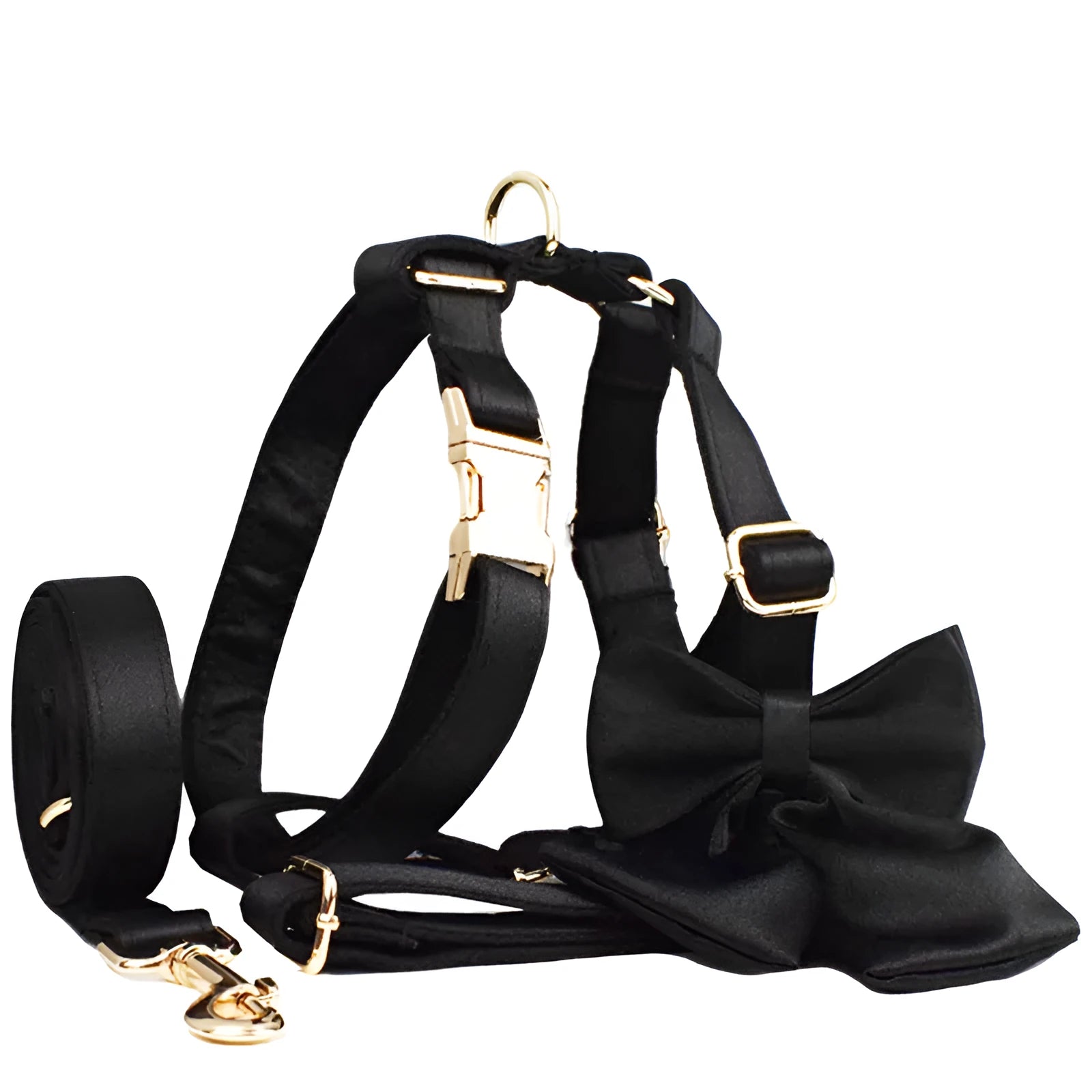 Dog wearing cloth collar, leash, chest harness, decorative bow, and matching vest accessory set