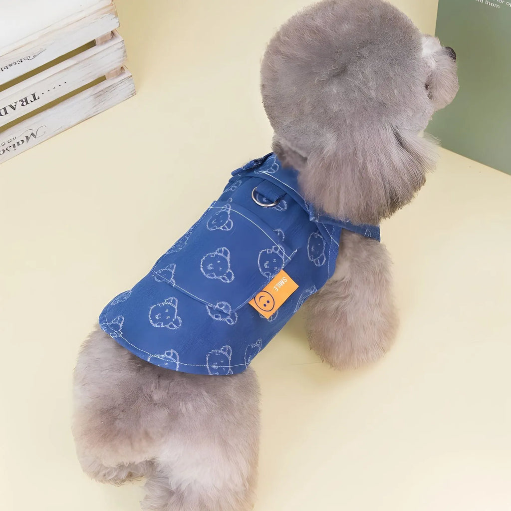 Teddy Bichon small dog wearing denim princess dress with bracket skirt style in HNXD colour