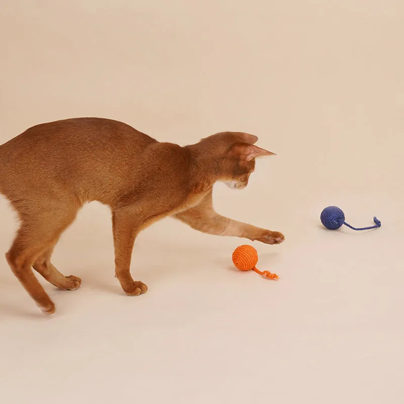 Four-piece cat toy set showing 255mm teaser wand with string, catnip ball, self-play wire, and fabric element in assorted colours