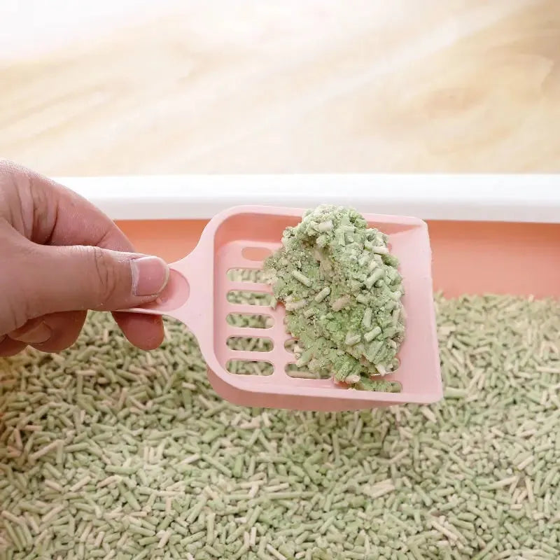 Blue plastic cat litter scoop for pets, 20 cm long, on a white background.