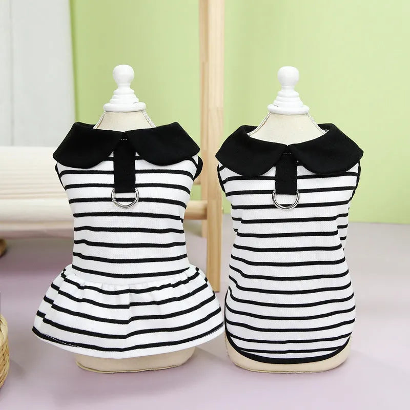 Striped cotton dog t-shirt and matching skirt pet outfit set