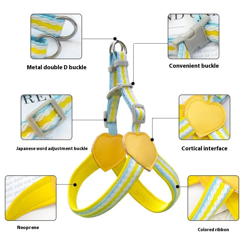 Nylon dog walking chest strap with hand holding rope in various colours and sizes