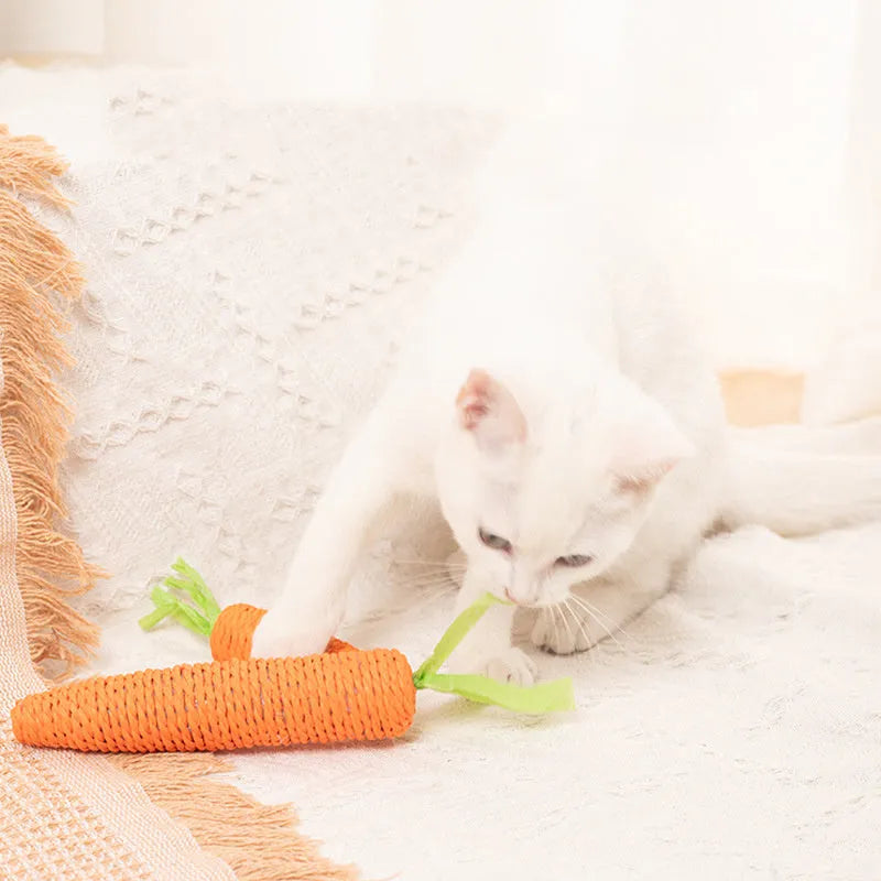 Assortment of colourful interactive cat toys including plastic carrots, ringing stones, fabric sticks, paper toys, and chewing sticks.