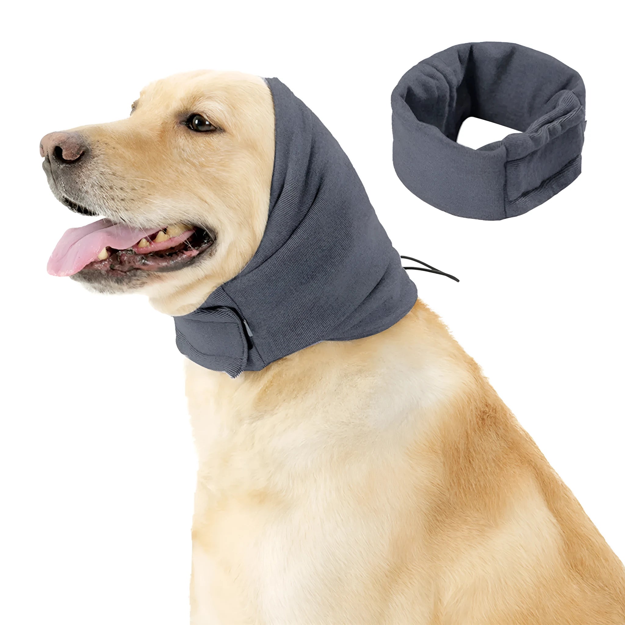 A black dog wearing a purple polyester calming hoodie that covers its head and ears.