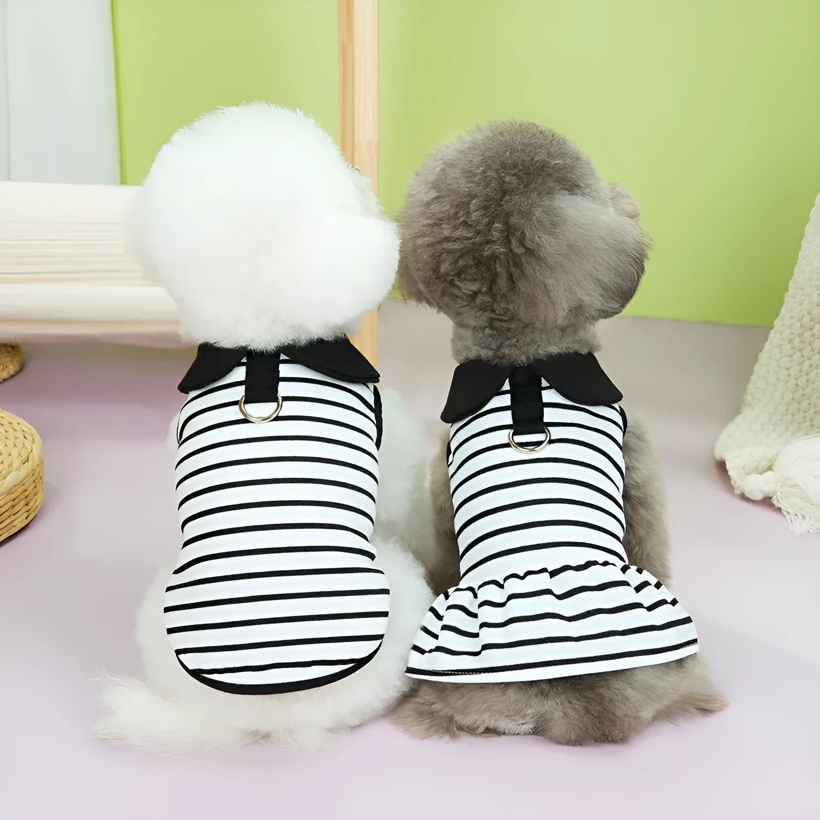 Striped cotton dog t-shirt and matching skirt pet outfit set