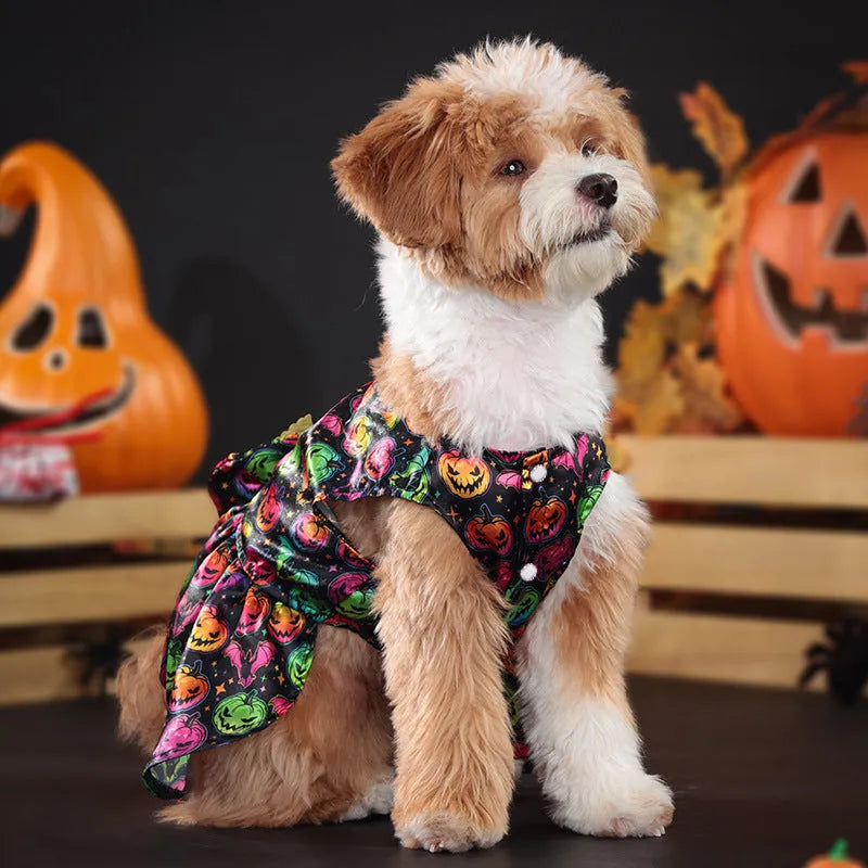 Dog wearing angel wings Halloween costume in bright pumpkin colour with wing attachments