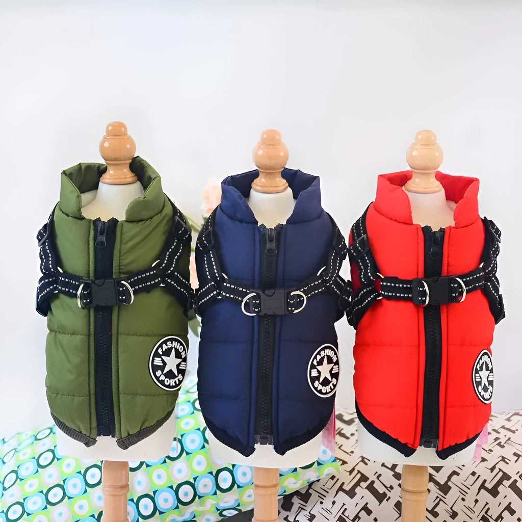 A red waterproof dog coat with an integrated harness on a Labrador retriever.