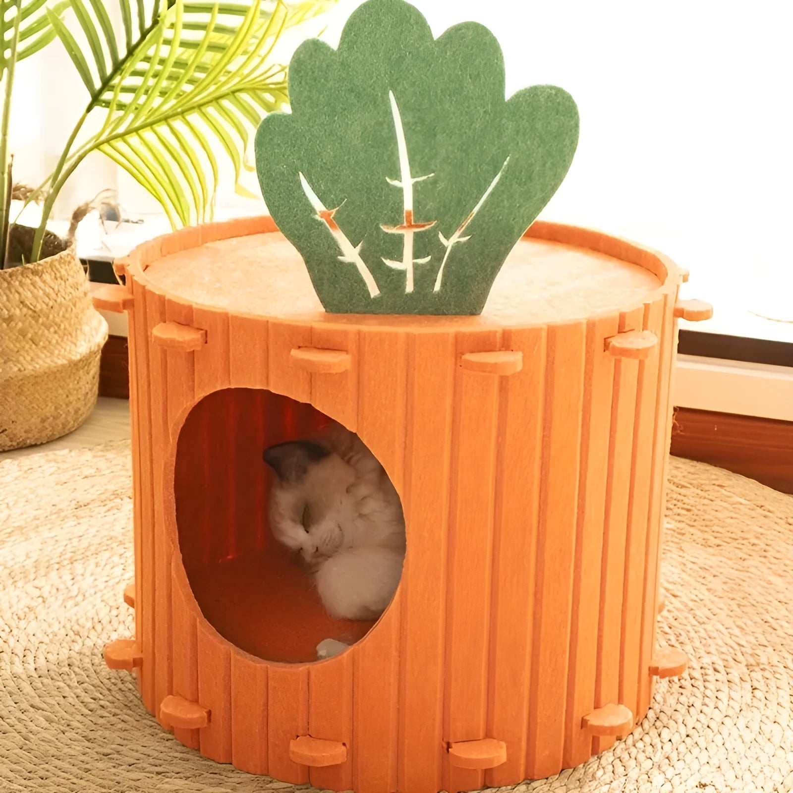 A semi-enclosed felt cat bed with an integrated tunnel, shown in two size options.