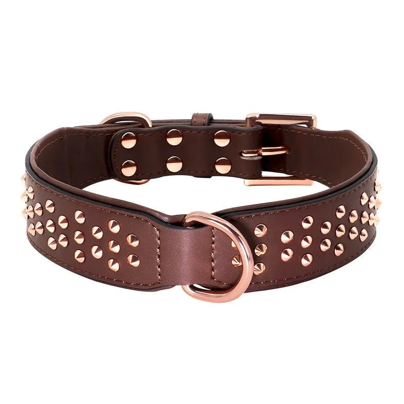Leather dog collar in chocolate colour with metal rivets and adjustable fastener.