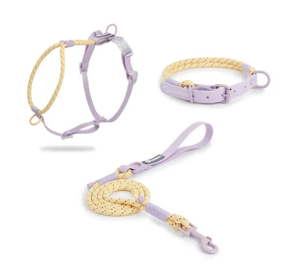 Dark Red Purple Yellow PVC dog leash held in a hand, showing the 120cm length and hand loop