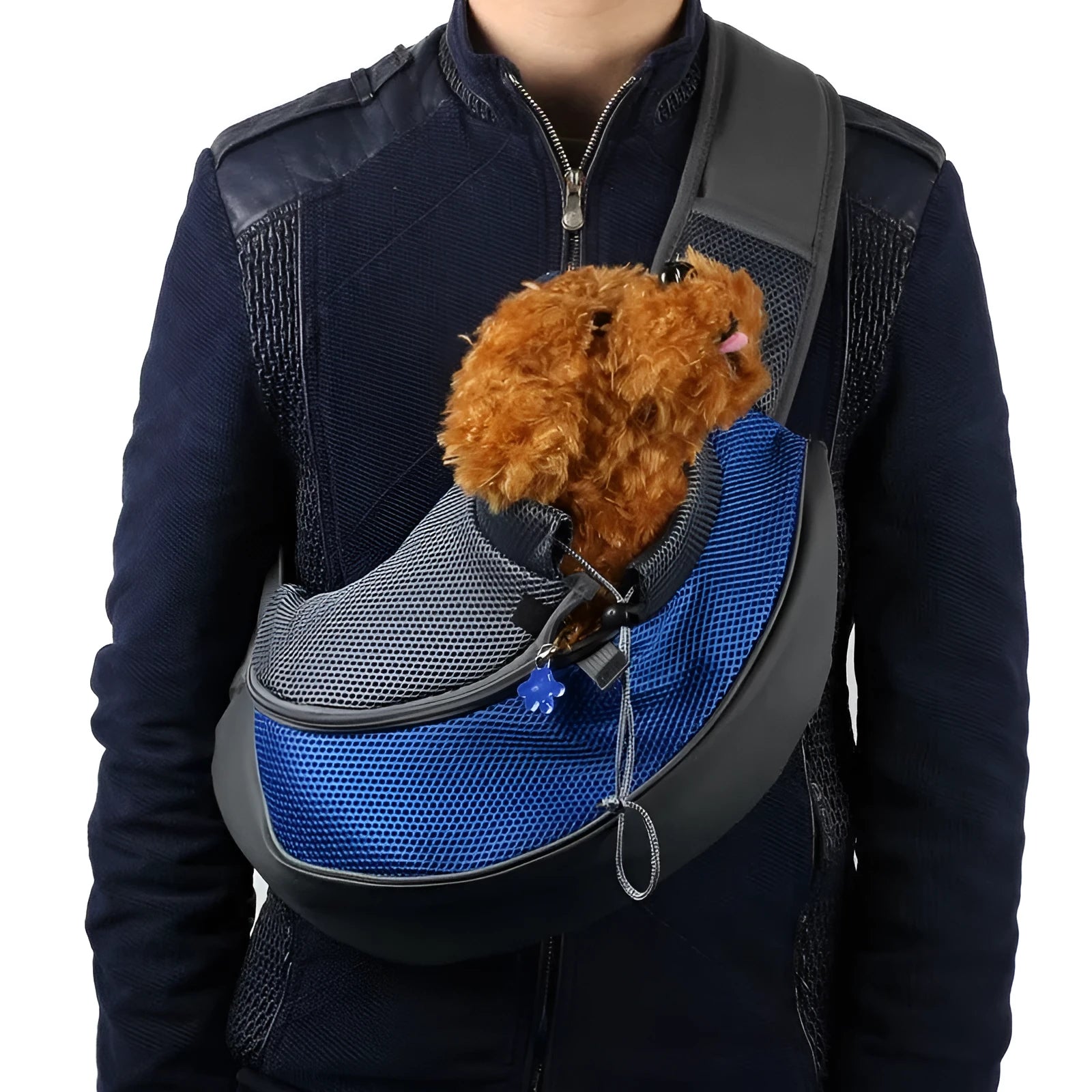 Lightweight pet backpack for small dogs and cats in blue colour with ventilation and foam padding
