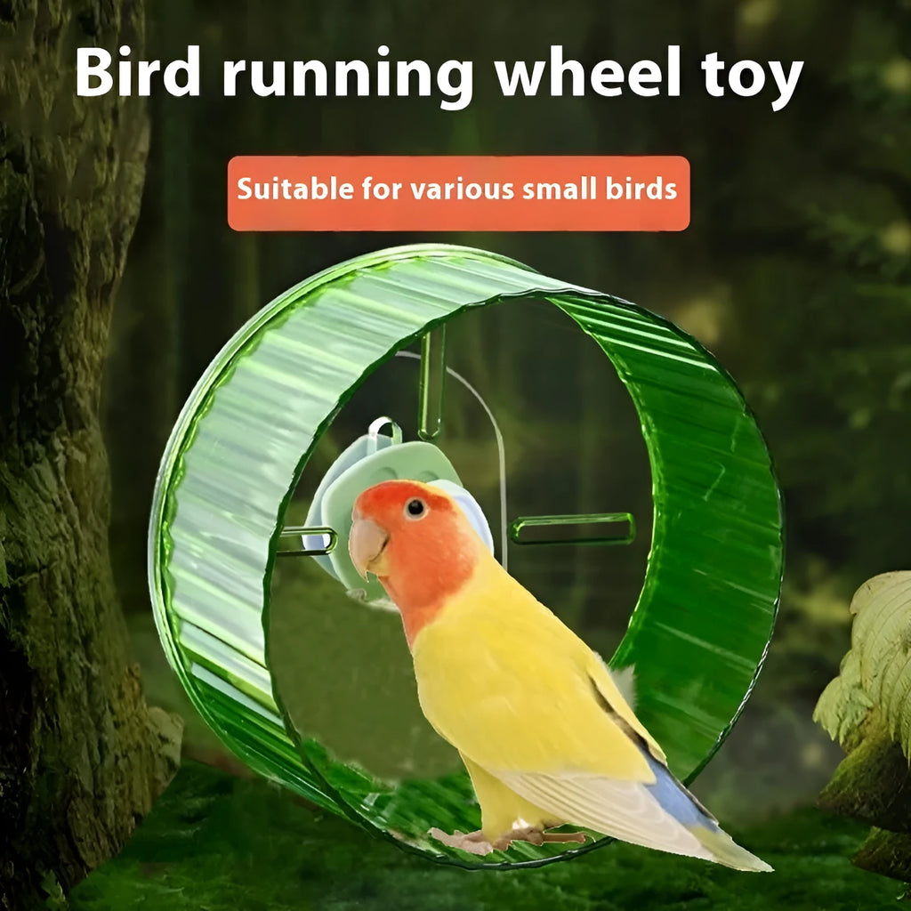 21cm plastic parrot running wheel toy in transparent, green, grey, orange, or purple colours for bird exercise
