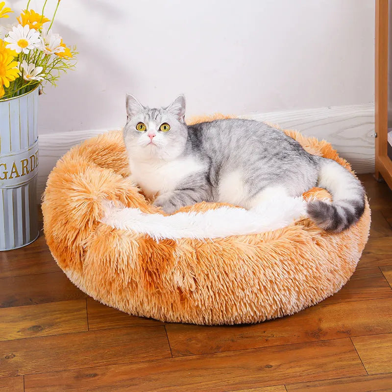 Waterproof cloth dog kennel in a semi-enclosed warm room design, shown in a gradient colour.