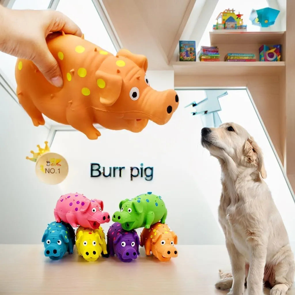 Pig-shaped blue latex dog chew toy with textured surface and squeaker for teeth cleaning