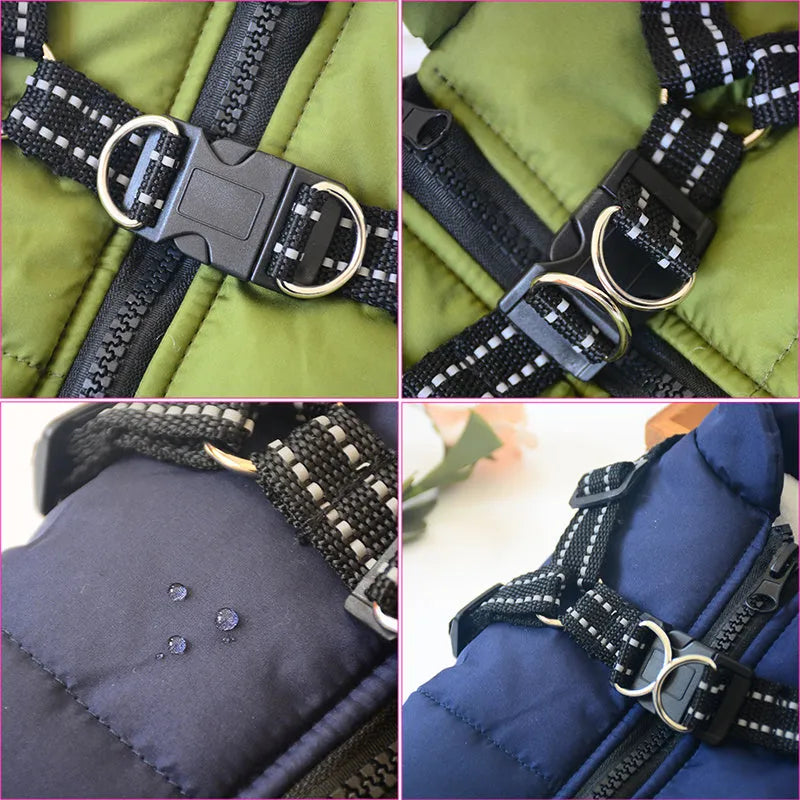 A red waterproof dog coat with an integrated harness on a Labrador retriever.