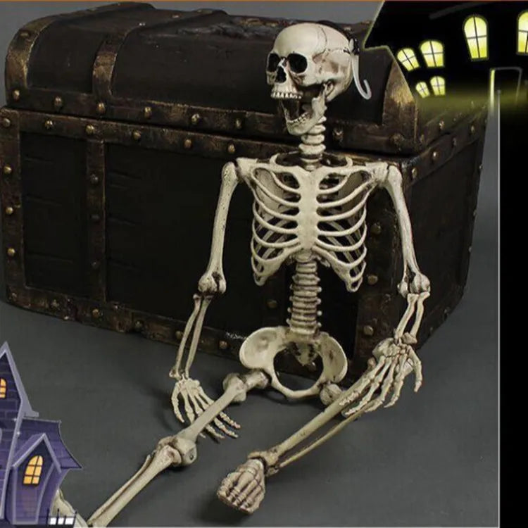 170cm tall plastic skeleton prop with detailed skull for Halloween and display use