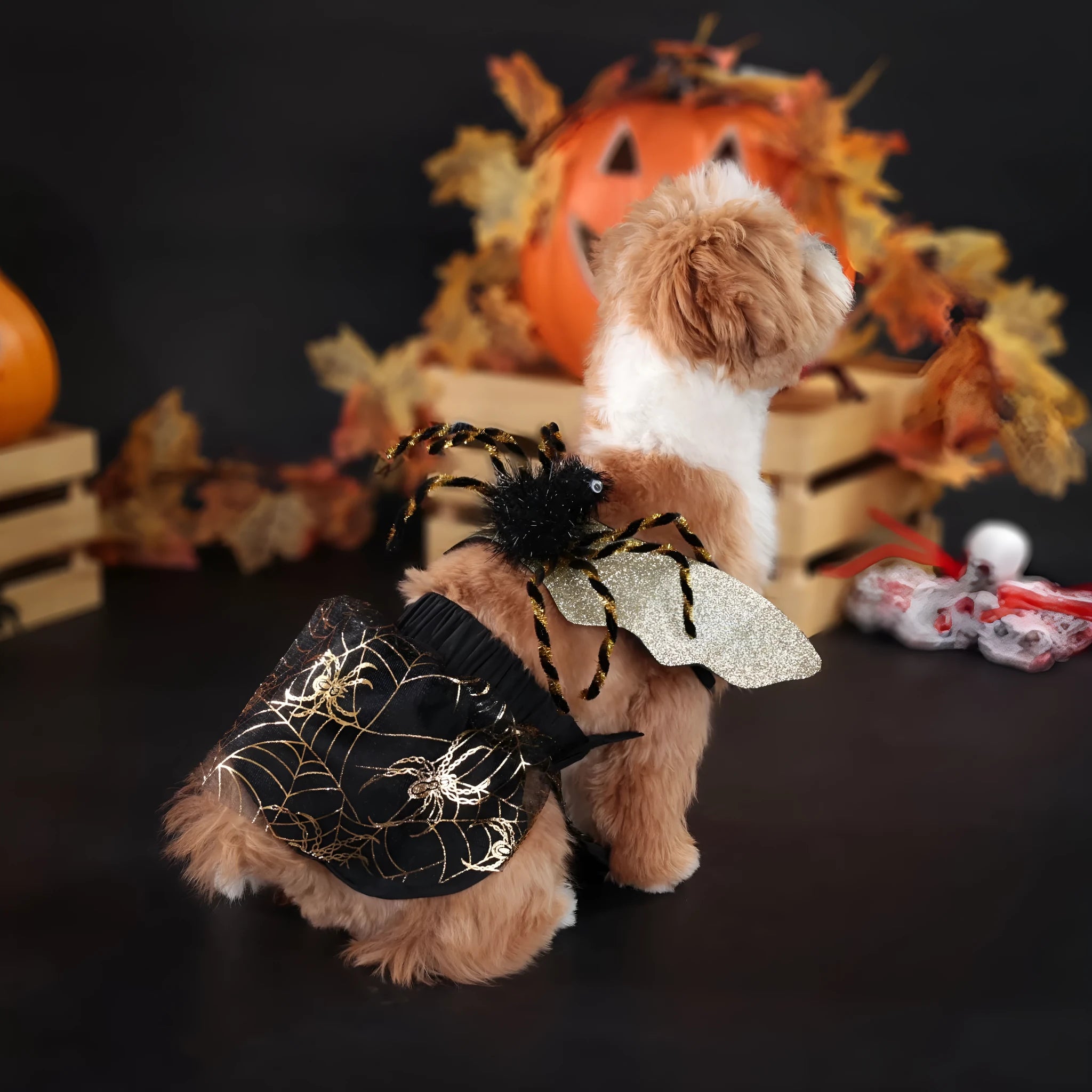 Polyester dog Halloween costume suit shown in suit colour, sizes S M L XL available.