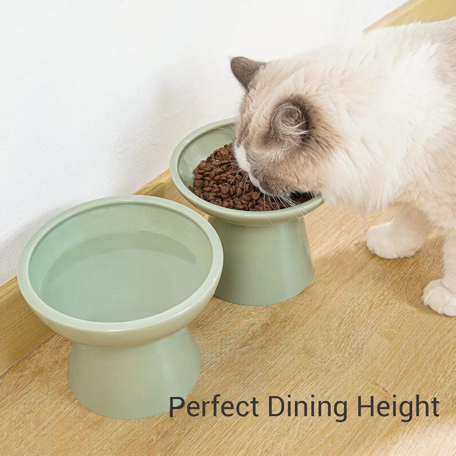 Ceramic elevated cat food bowl in blue with wide 16cm diameter and 12cm height
