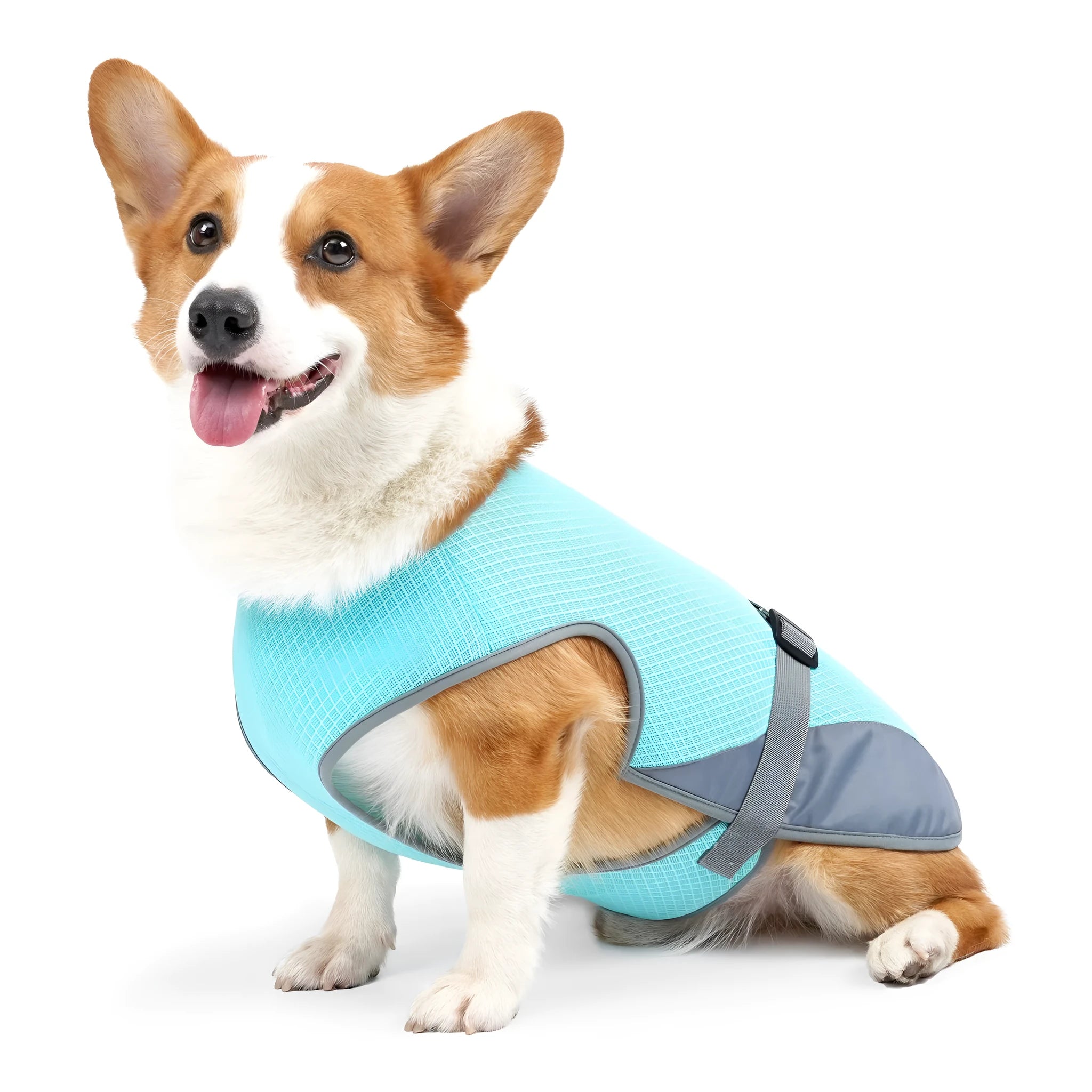 Light grey polyester dog cooling vest on a model dog showing chest and back fit.