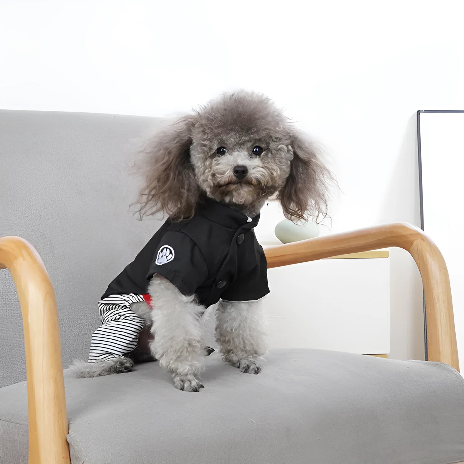 Cotton poodle dog clothes in skirt and four-foot pants designs for spring and autumn seasons