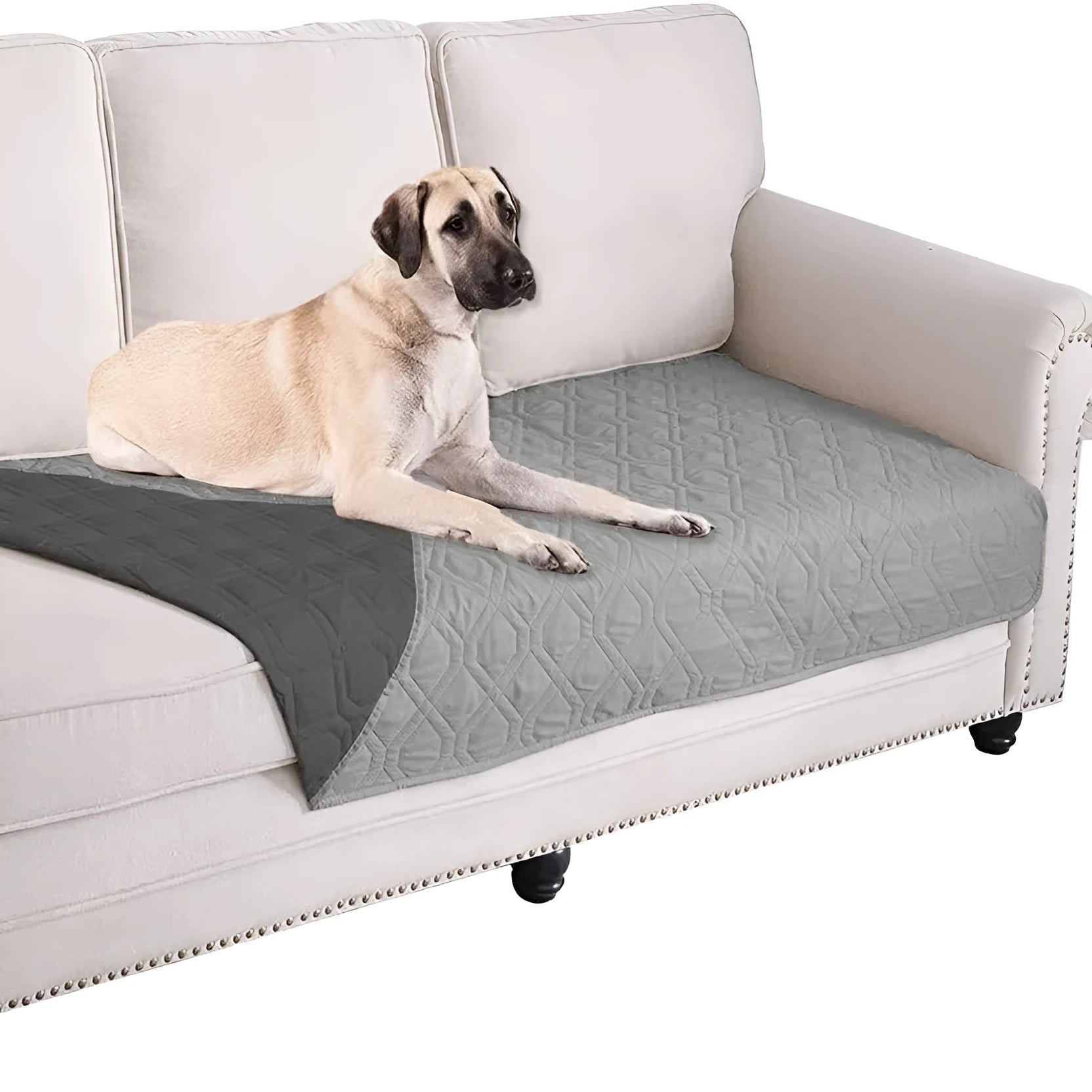 Reversible waterproof dog blanket couch cover in burgundy and grey, laid flat on a sofa.