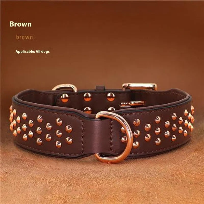 Leather dog collar in chocolate colour with metal rivets and adjustable fastener.