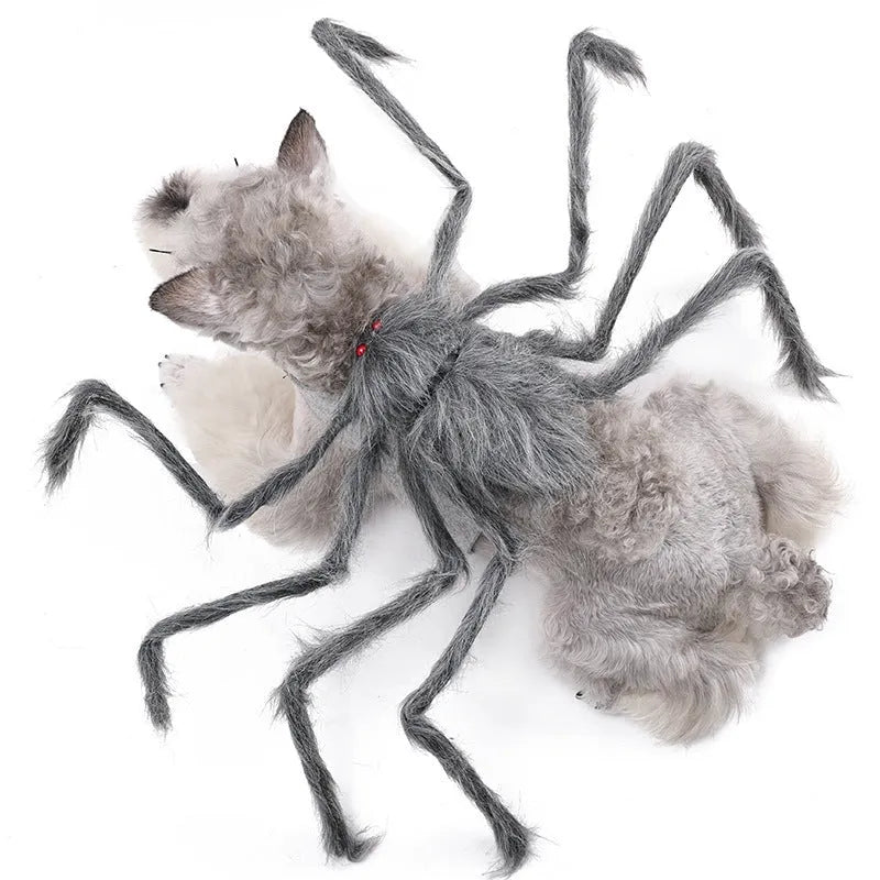 Grey Big Spider Halloween costume worn by a dog, showing the four-legged design and headpiece.