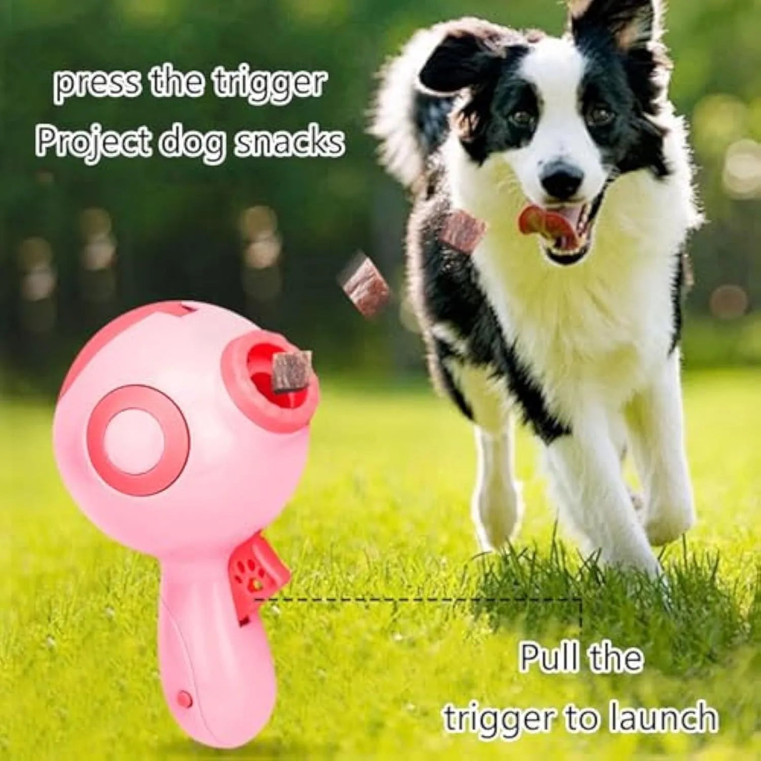 Green, orange, and pink dog treat launcher toy for remote feeding