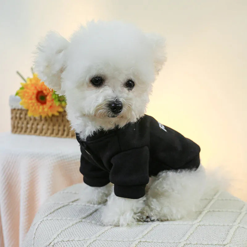 Pet traction sweater in black or red polyester with open buttons, sizes XS to XL