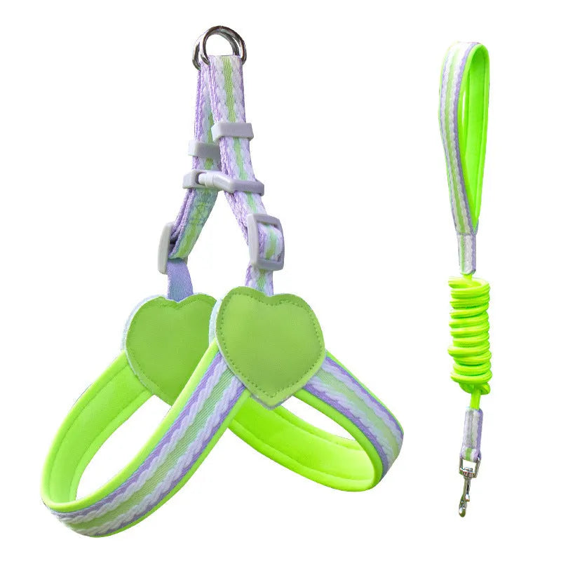 Nylon dog walking chest strap with hand holding rope in various colours and sizes