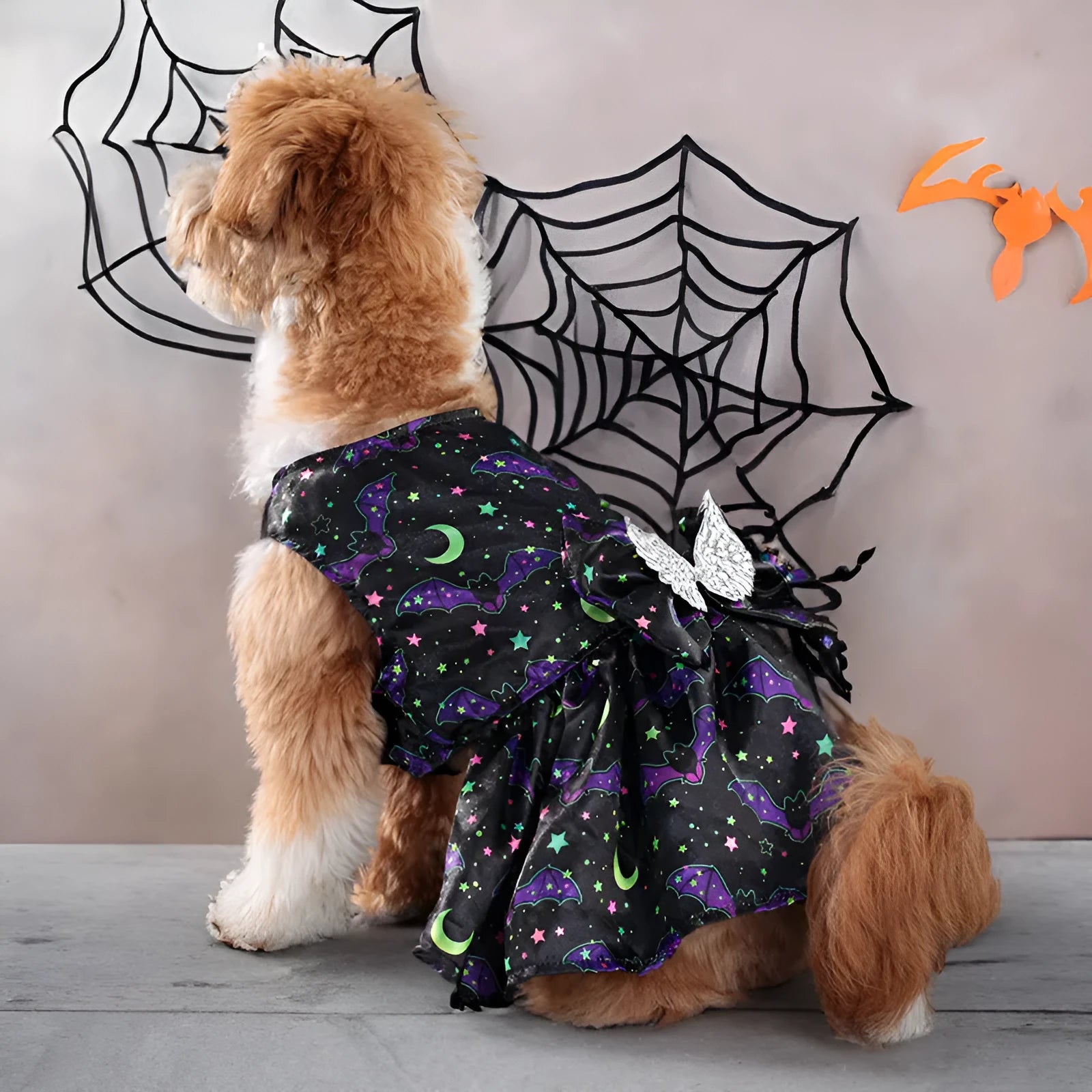 Dog wearing angel wings Halloween costume in bright pumpkin colour with wing attachments