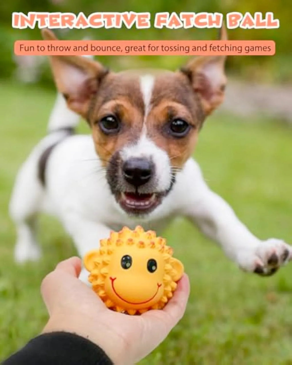 Orange and yellow spiky latex squeaky dog toys shaped like animals for teeth cleaning
