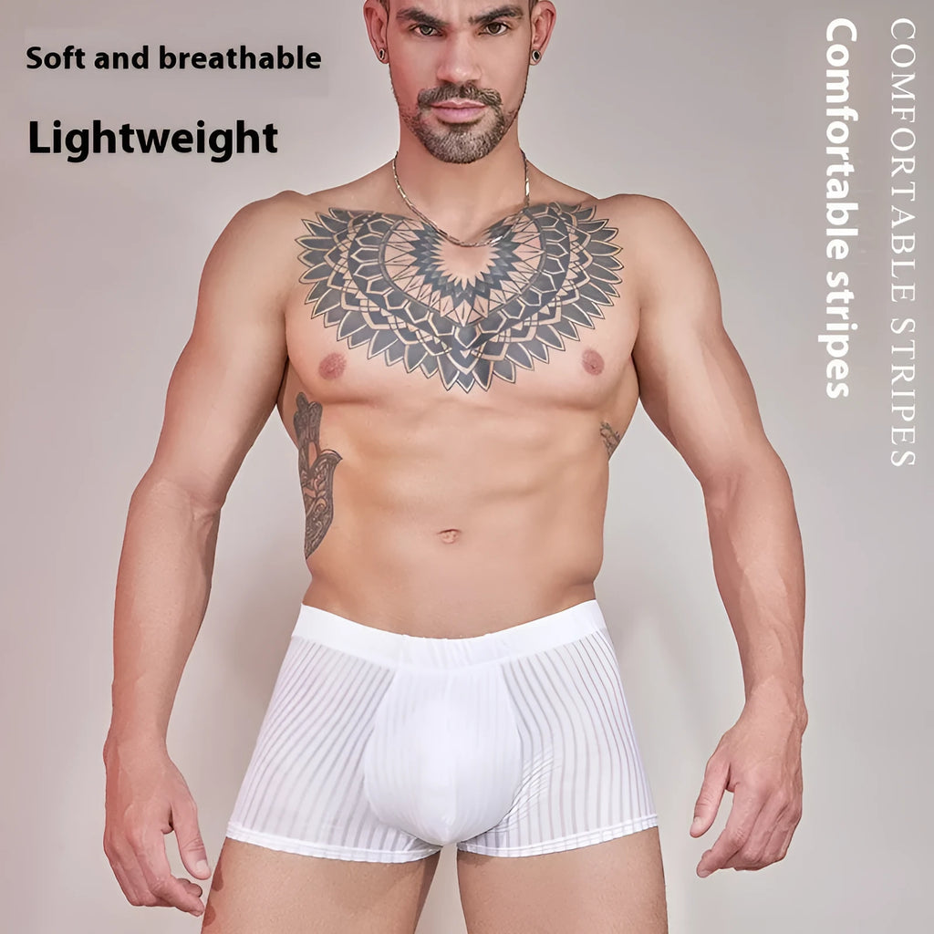 Men's striped transparent underwear in black, dark grey and white colours