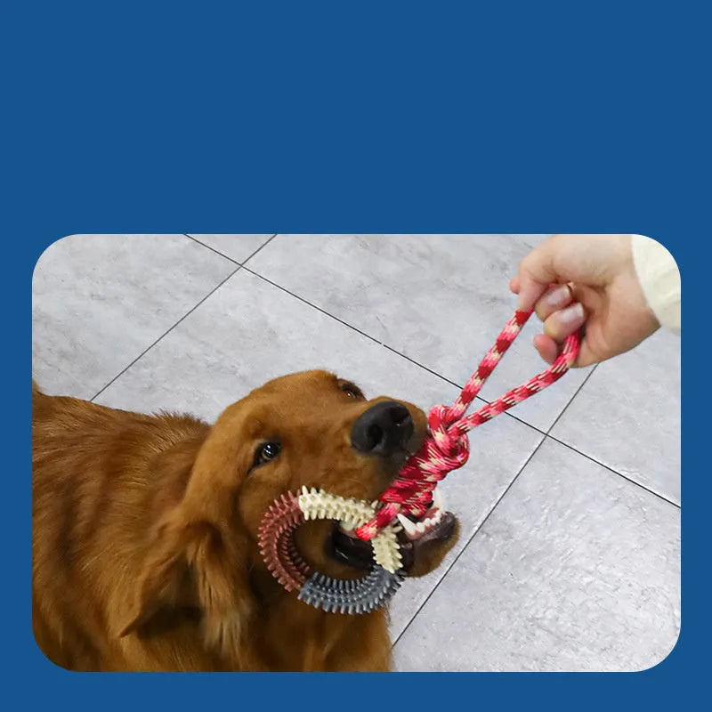 Colourful braided rope dog toy with knots, 43 cm long, for puppies and small dogs