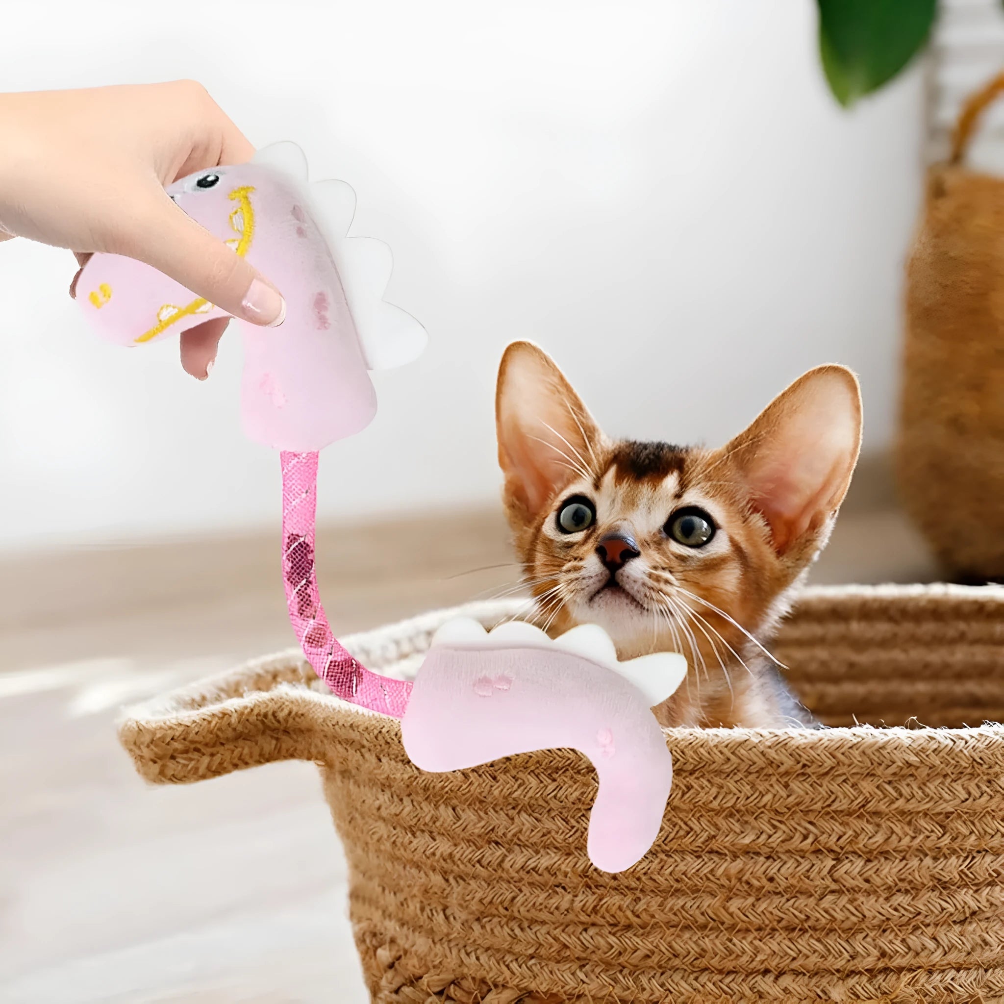 Set of four colourful plush cat toys including a fish, mouse, bunny, and rope on a plain background.