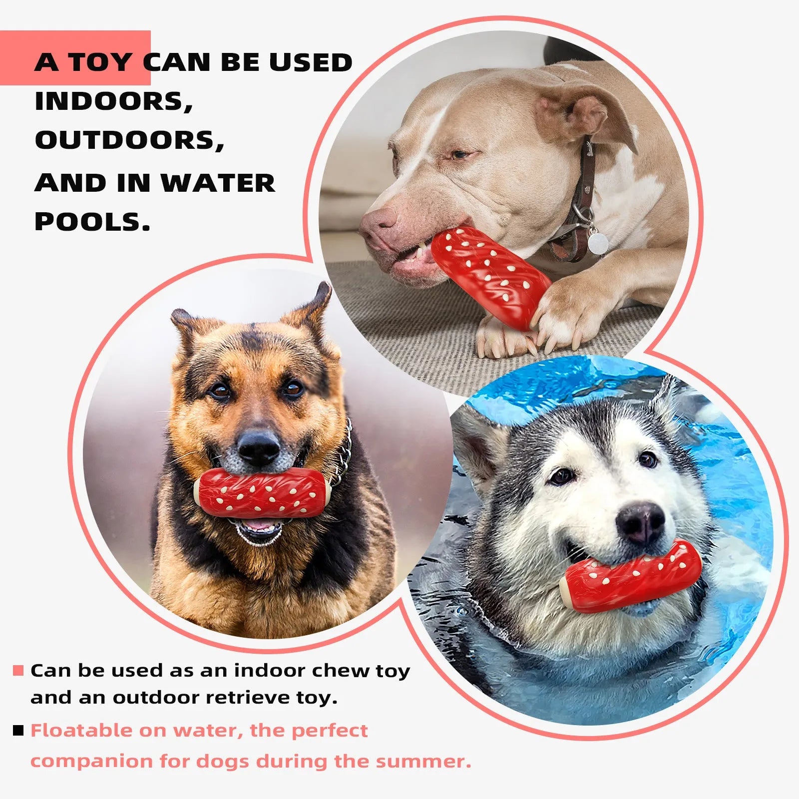 Primary colour plastic dog chew toy with hollow centre and molar-textured rod shape