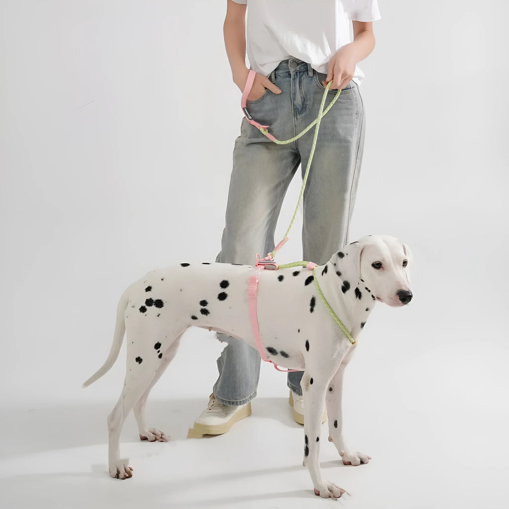 Dark Red Purple Yellow PVC dog leash held in a hand, showing the 120cm length and hand loop