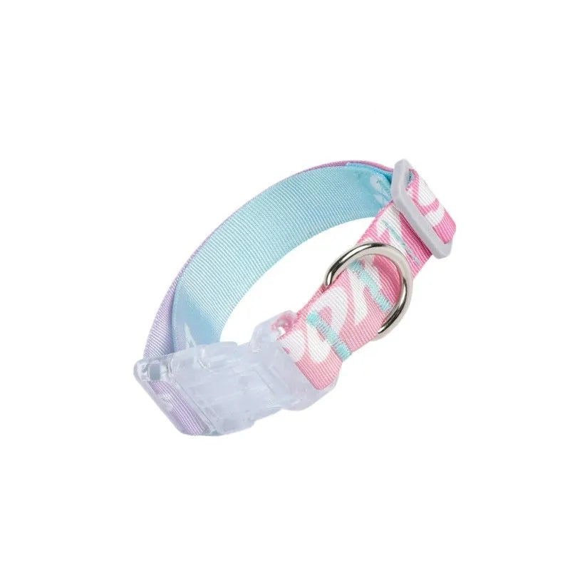 Cartoon gradient printing dog collar in nylon with adjustable sizing for dogs 2-10kg