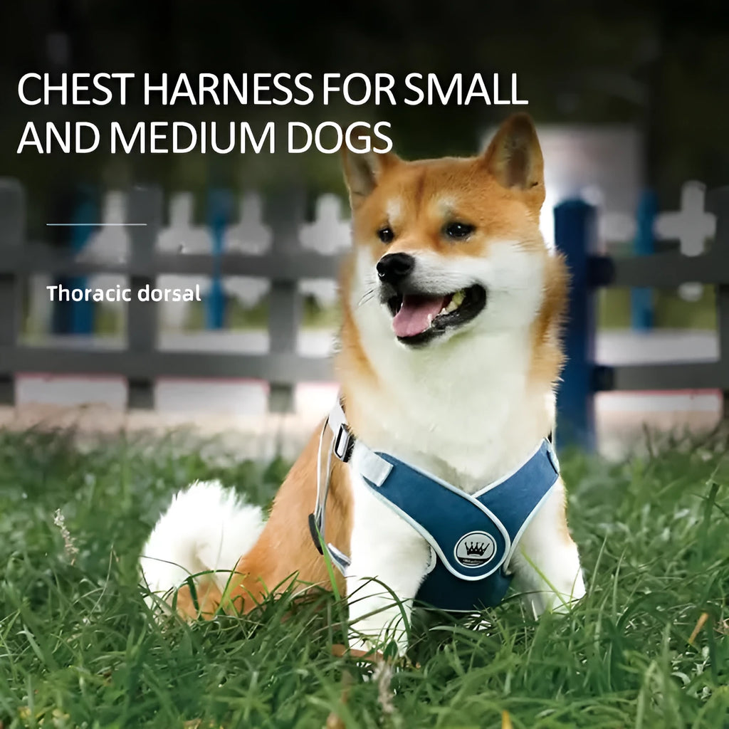 Adjustable dog harness with reflective mesh in multiple colours, showing metal ring and leash attachment