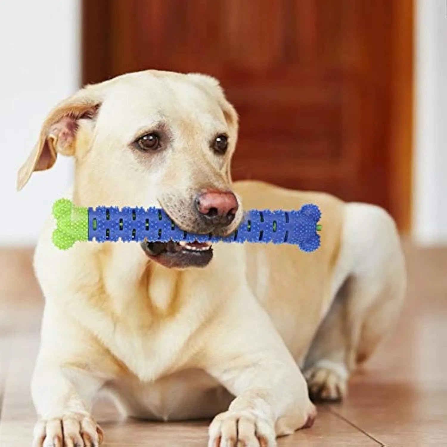 Blue and green silicone dog molar tooth cleaner toy with textured brush head and nodules.