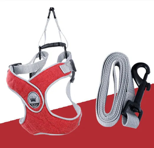 Adjustable dog harness with reflective mesh in multiple colours, showing metal ring and leash attachment