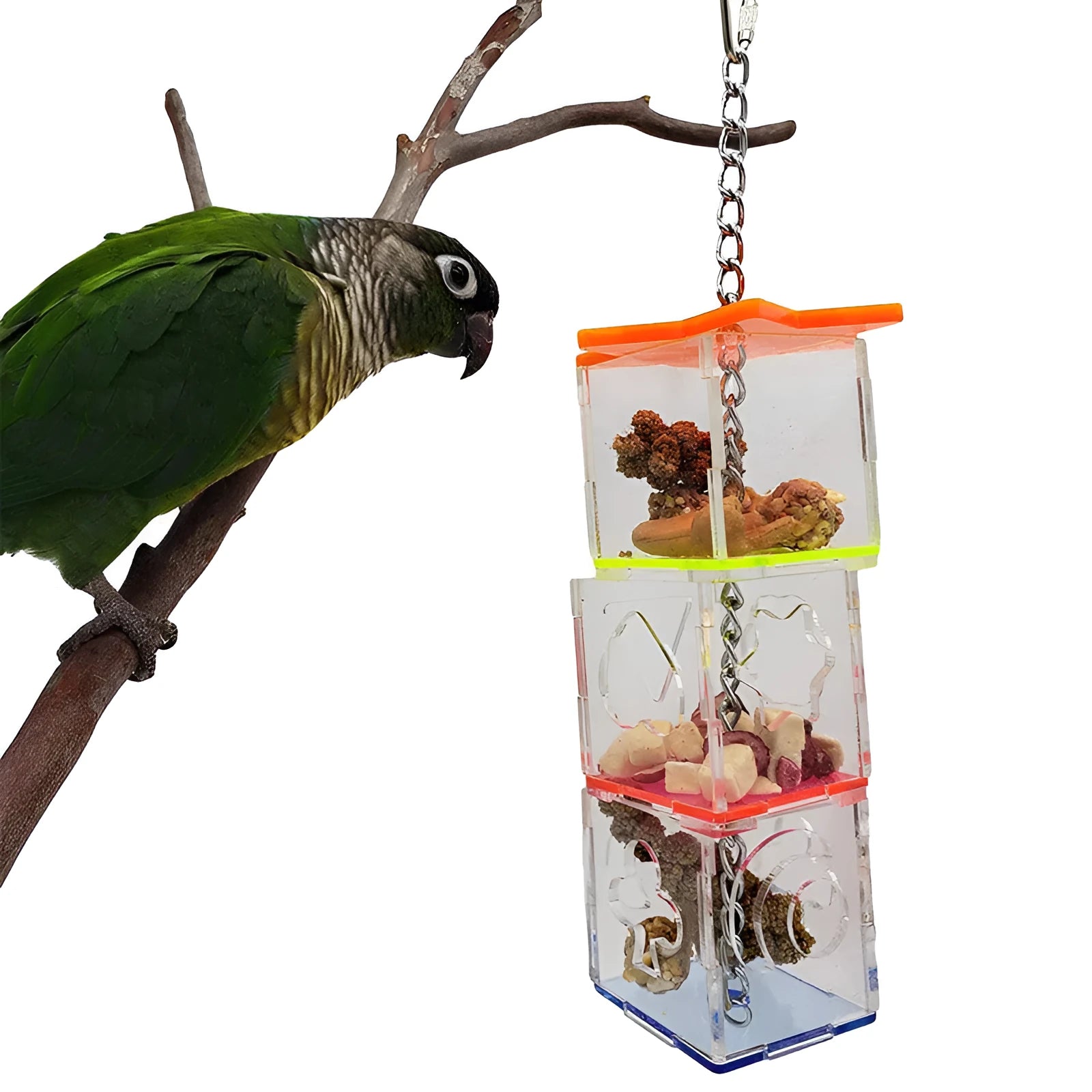 Clear acrylic parrot foraging toy measuring 32cm tall for holding bird food