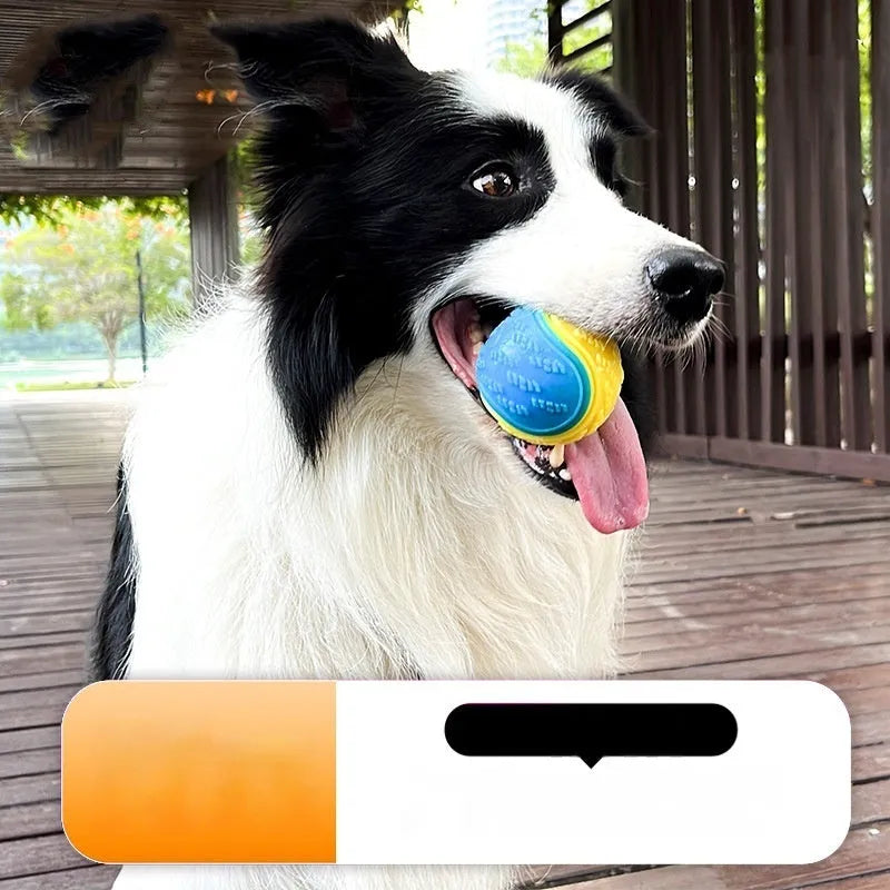 TPR dog training ball with molar texture and sounding feature in 6.5cm size