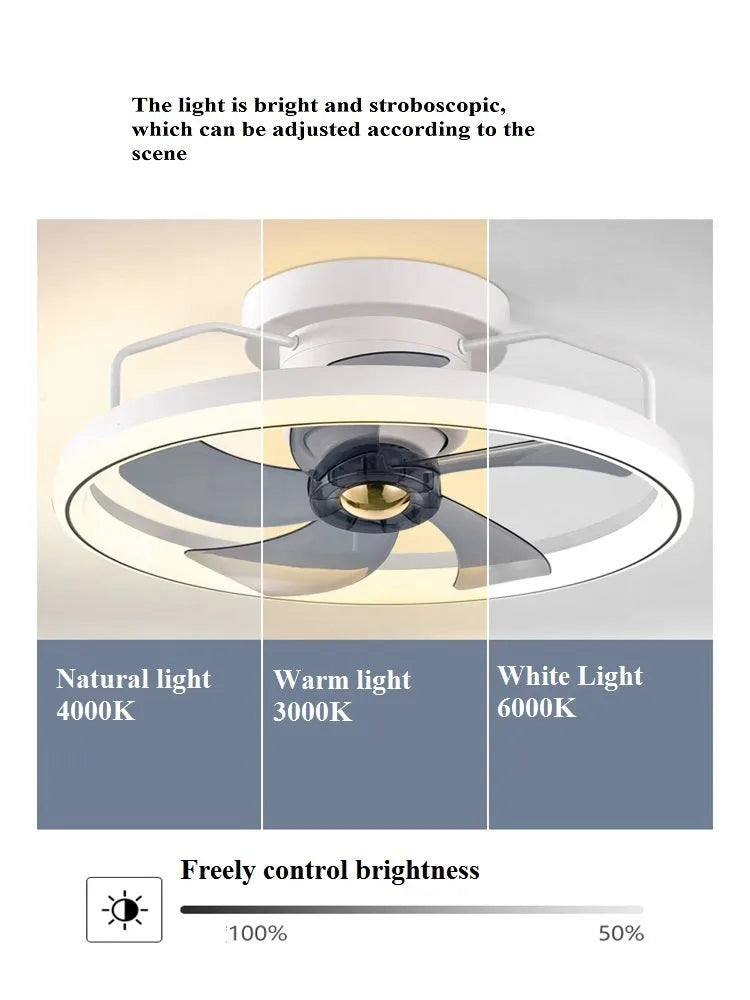 Modern simple style ceiling fan lamp with integrated light and five blades.