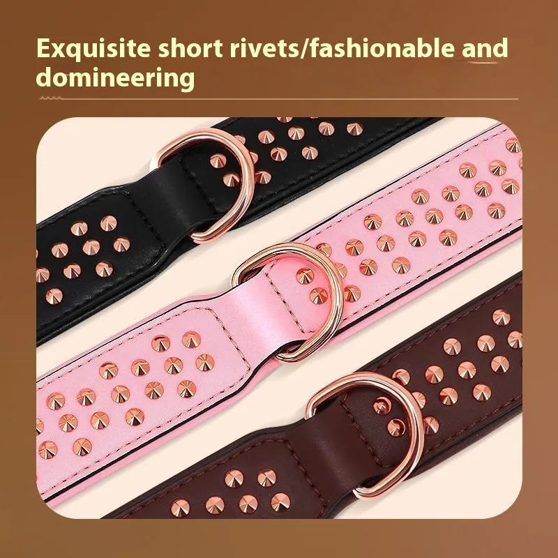 Leather dog collar in chocolate colour with metal rivets and adjustable fastener.