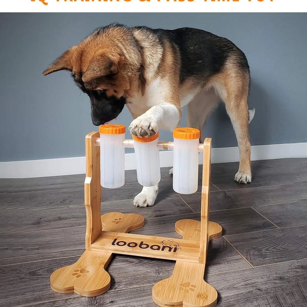 Wooden dog puzzle toy with sliding blocks showing treat compartments measuring 31x30x20cm